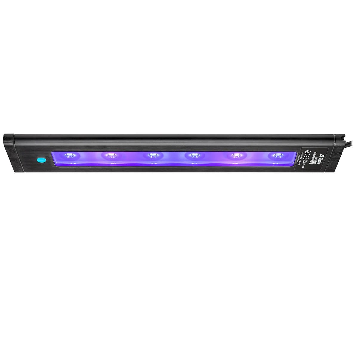 Blade - GloFish