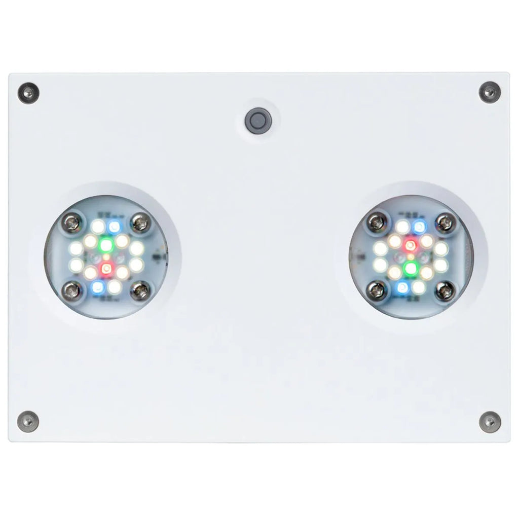 Hydra 32 HD - Freshwater