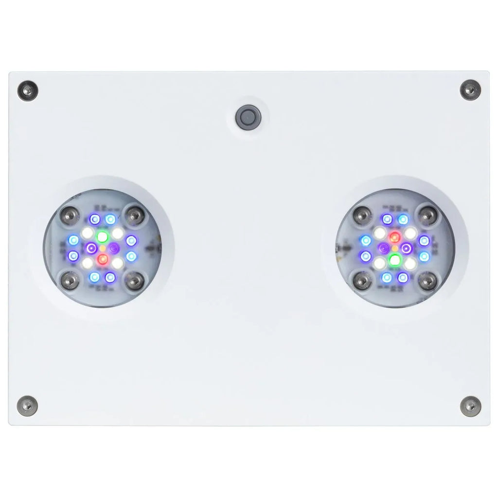 Hydra 32 HD