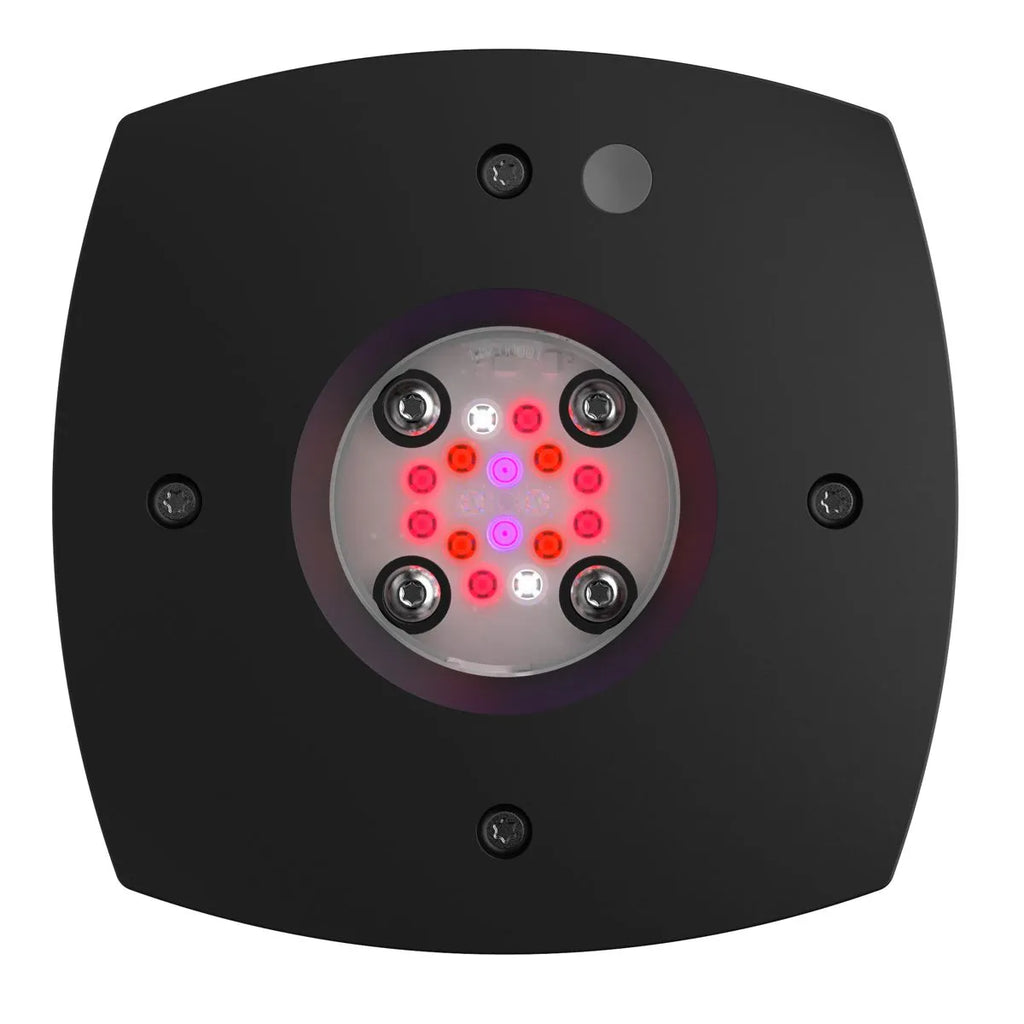 Prime 16 HD - Fuge
